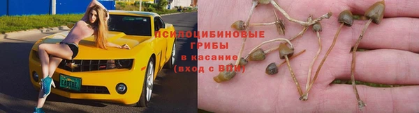 скорость Верея